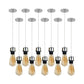 10 Pack Industrial Chrome Pendant Light Fittings - With Bulbs