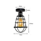 Black Cage Industrial Ceiling Light - With Bulb