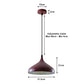 Burgundy Teardrop Pendant Light - Large