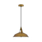 Yellow Brass Barn Style Industrial Pendant Light - Without Chain